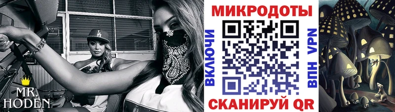 Галлюциногенные грибы мухоморы где продают наркотики Голицыно
