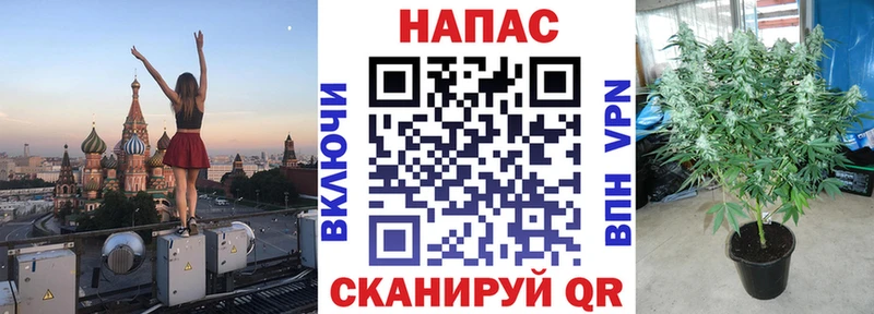 МАРИХУАНА индика  Голицыно 